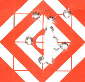 target.jpg (71619 bytes)